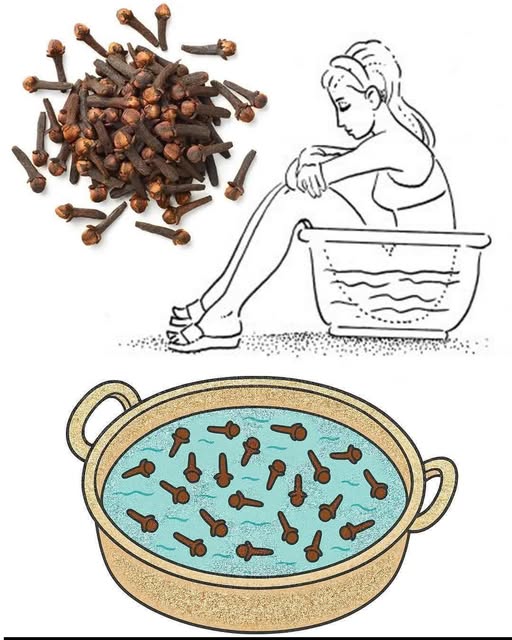 Every Woman Should Know That Clove Has the Power to… See More 👇