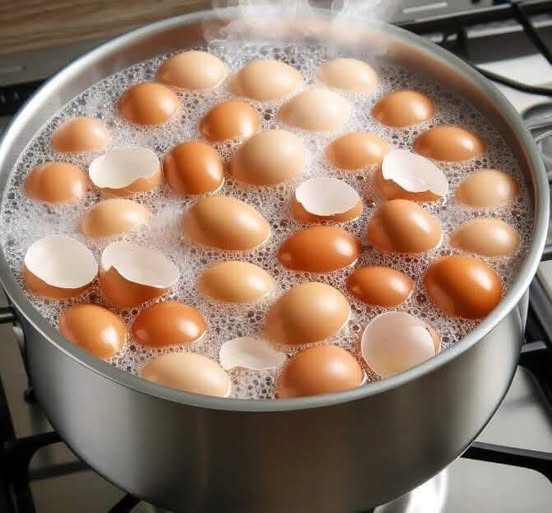 Stop Throwing Them Away! 🥚 Boil Eggshells and Discover What They’re Really Good For 👇💬
