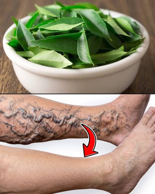 1 Leaf destroys DIABETES, HIGH BLOOD PRESSURE, eliminates BODY PAIN, cholesterol, and removes POOR CIRCULATION.