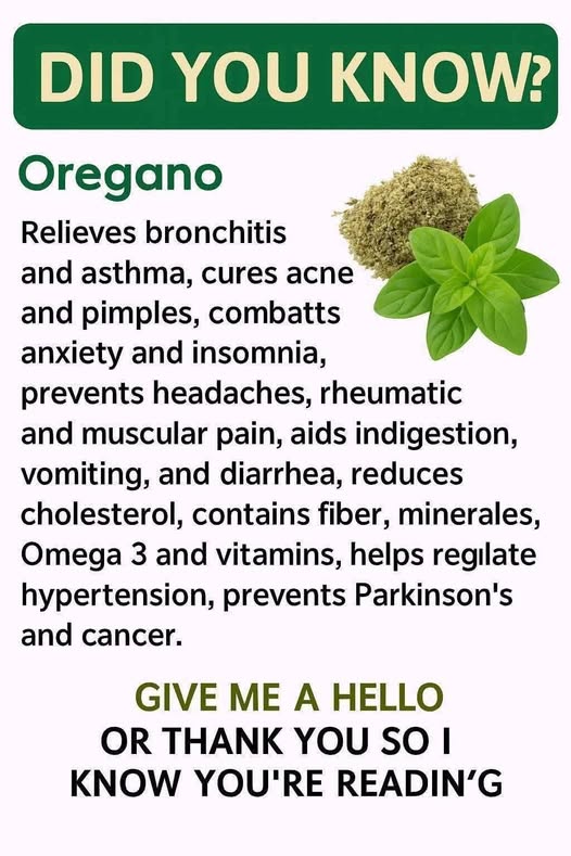This Kitchen Herb Can Transform Your Health! 🌿💚 Discover Why Oregano Is the Natural Remedy Your Body Has Been Craving