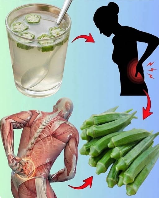 OKRA BENEFITS – Impressive Health Benefits Of Okra that Everyone should know that….