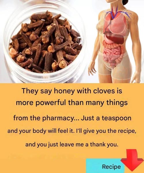 Honey with Clove and Garlic: The Most Powerful Natural Remedy to Strengthen Your Body