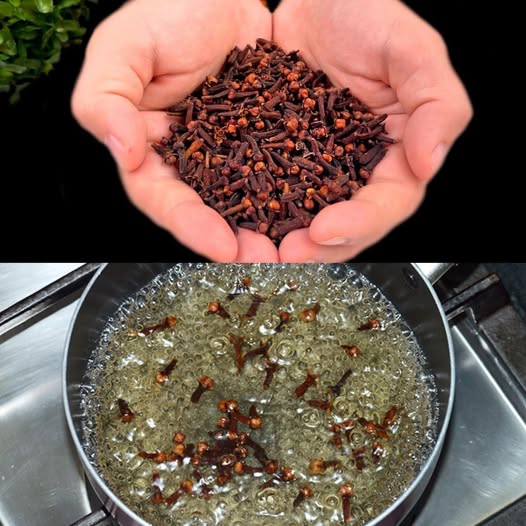 I Drank 1 Glass and Haven’t Been Sick for Years: Clear Vision, Clear Mind