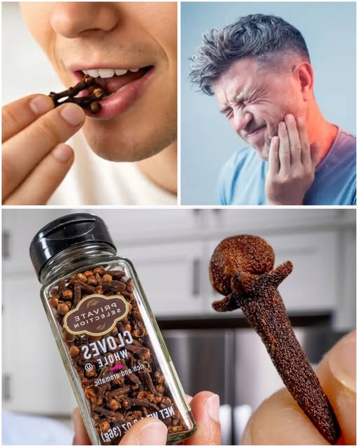 Everybody Loves Cloves, but Most People Have No Idea That Holding Cloves in Your Mouth Can Help Relieve Toothache