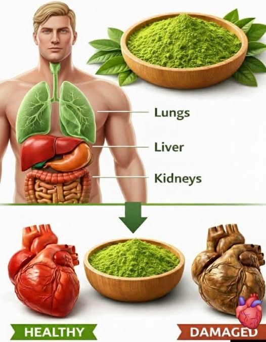 🌿 ONE LEAF Destroys Diabetes, High Blood Pressure, Body Pain, Cholesterol & Poor Circulation! 😱
