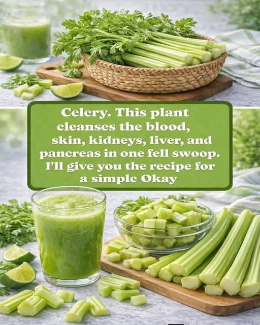 This Plant Cleans Blood, Skin, Kidneys, Liver and Pancreas in One Stroke