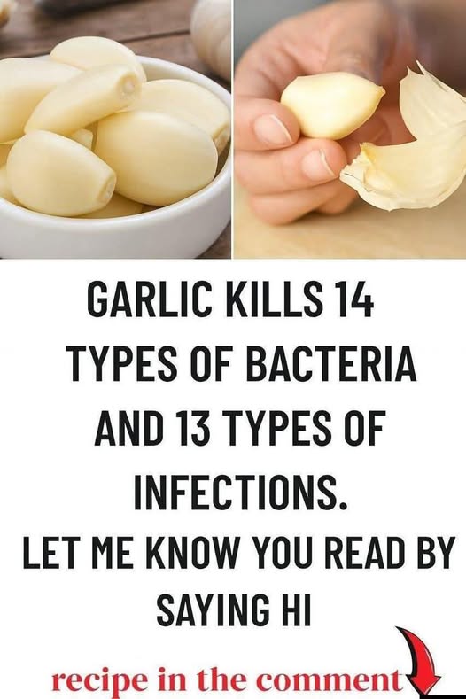 Garlic: The Natural Antibiotic That Wipes Out Infections
