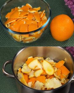 Orange Peels Are More Powerful Than You Think