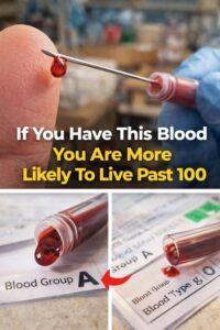Studies Indicate That Individuals With This Blood Type&hellip;