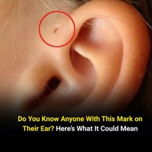  This Common Ear Mark Has a Surprising Meaning