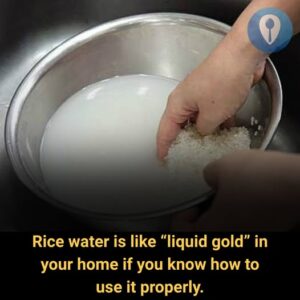 Rice Water Is Like “Pure Gold” in Your&hellip;