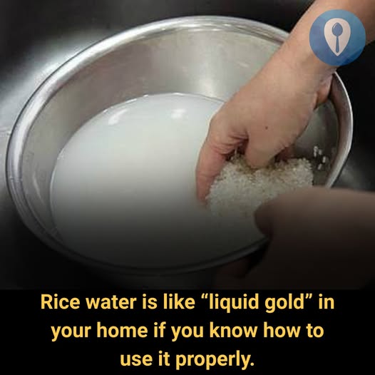 Rice Water Is Like “Pure Gold” in Your Home — If You Know How to Use It 