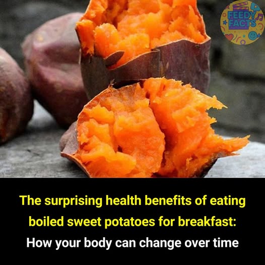  Start Your Day with Boiled Sweet Potatoes: Benefits You Might Not Expect