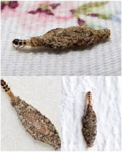 Have You Ever Wondered What Those Small Wall&hellip;