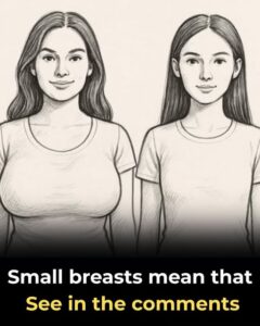 If a Woman Has Small Breasts, What Does&hellip;