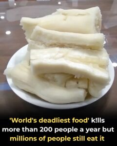 .Over 200 People Die Every Year From the&hellip;