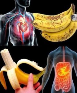 Did You Know That Eating Bananas Increases More&hellip;