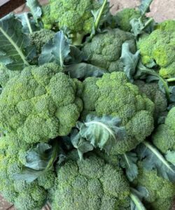 Doctors Reveal That Green Broccoli Can Do Amazing&hellip;