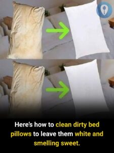  Revive and Refresh Your Dirty Bed Pillows and&hellip;