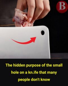  Few People Know What the Small Hole on&hellip;